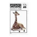 Resting Giraffe Postage postage