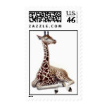 Resting Giraffe Postage