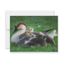 Resting invitations by laureenr Resting invitations