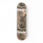 Resting Kangaroo Skateboard