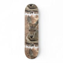 Resting Kangaroo Skateboard