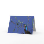 Resting Kingfisher Card