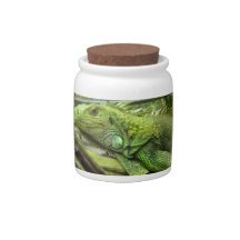 Resting Lizard Candy Jar