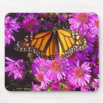 Resting Monarch mousepads by MarDar Resting Monarch mousepads