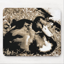 Resting Mousepad