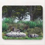 Resting mousepads