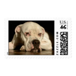 Resting Nelson Stamp