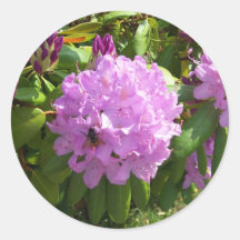 Resting on a Lavender Rhododendron Sticker