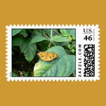 Resting on a Leaf postage by codfishlady Resting on a Leaf postage