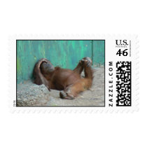 resting orangutang 12x10 stamp
