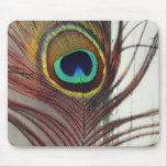 Resting Peacock Feather mousepads