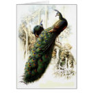  - Vintage Birds with Delightful wildlife scenes full of detail and charm on cards and invitations.: Sizes 