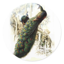 Resting Peacocks Sticker