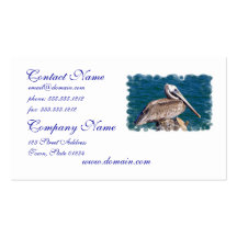 Resting Pelican Business Card