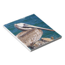 Resting Pelican Notepad