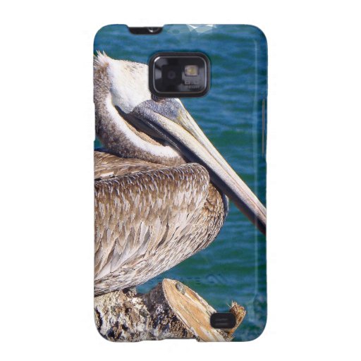 Resting Pelican Samsung Galaxy Case