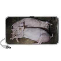 Resting Pigs Speaker
