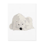 resting polar bear postcard