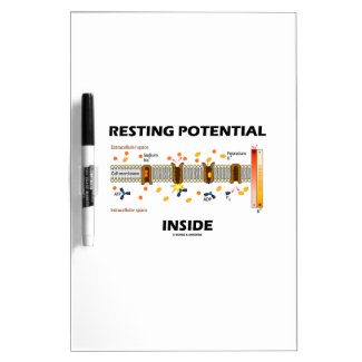 Resting Potential Inside (Na-K Active Transport) Dry-Erase Whiteboards