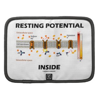 Resting Potential Inside (Na-K Active Transport) Planners
