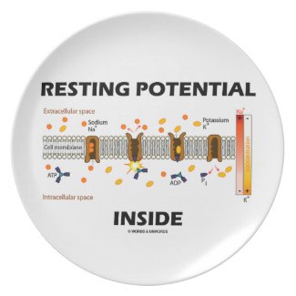 Resting Potential Inside (Na-K Active Transport) Dinner Plates