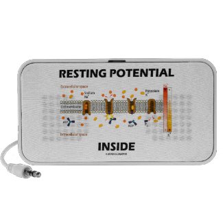 Resting Potential Inside (Na-K Active Transport) Travel Speaker