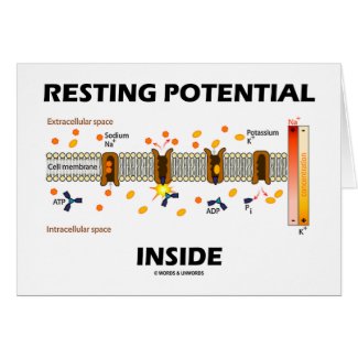 Resting Potential Inside (Sodium-Potassium Pump) Cards