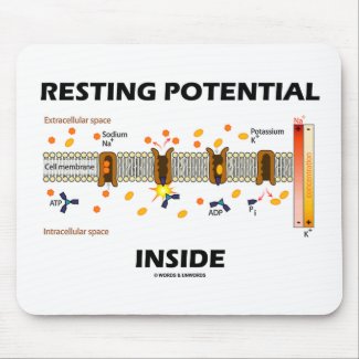 Resting Potential Inside (Sodium-Potassium Pump) Mousepads