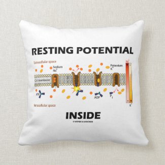 Resting Potential Inside (Sodium-Potassium Pump) Pillows