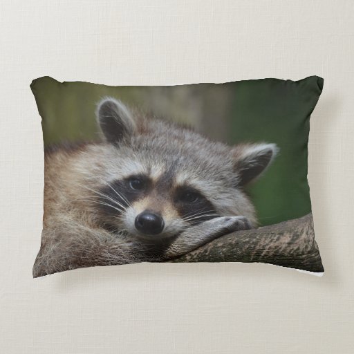 racoon pillow pet