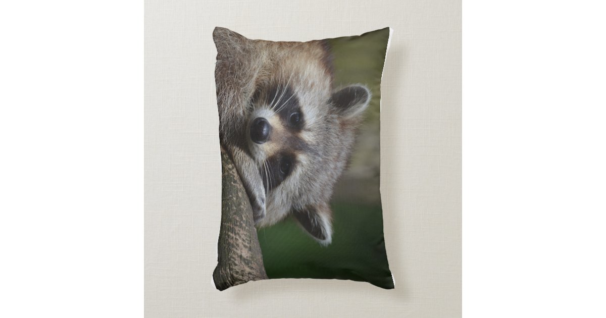 pillow pet raccoon