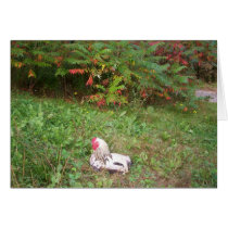 Resting Rooster cards