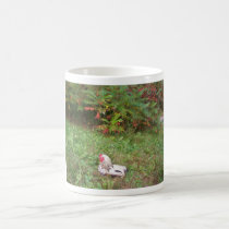 Resting Rooster mugs