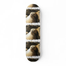 Resting Sea Lion Skateboard