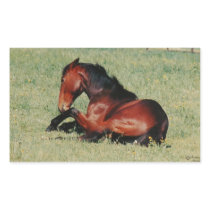 Resting Stallion Stickers