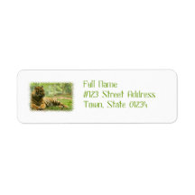 Resting Tiger  Mailing Labels