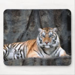 Resting Tiger Mousepad