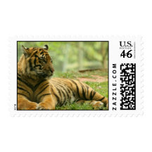 Resting Tiger  Postage Stamp