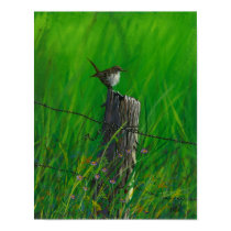 Resting Wren posters