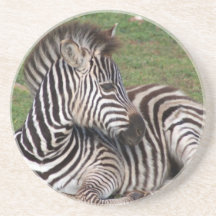 Resting Zebra Coasters