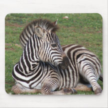 Resting Zebra Mouse Pad