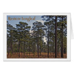 Restore Longleaf Greeting Card