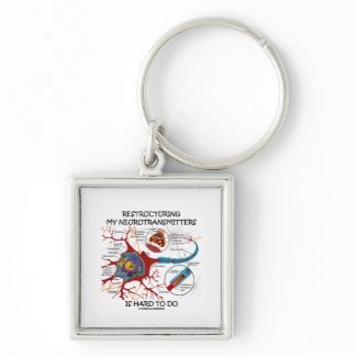 Restructuring My Neurotransmitters Is Hard To Do keychain