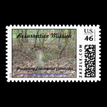Resurrection Mission Postage stamps stamps