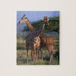 Reticulated Giraffe 2 Jigsaw Puzzles