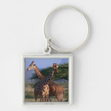 Reticulated Giraffe 2 Key Chains