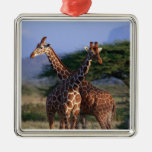 Reticulated Giraffe 2 Ornament