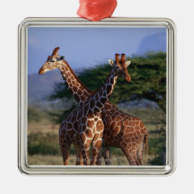 Reticulated Giraffe 2 Ornament