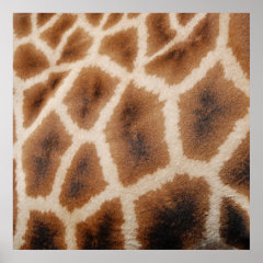 Reticulated Giraffe Pattern Wild Animal Print Gift