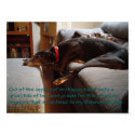Retired racer posters by tornadosgirl Retired racer posters
